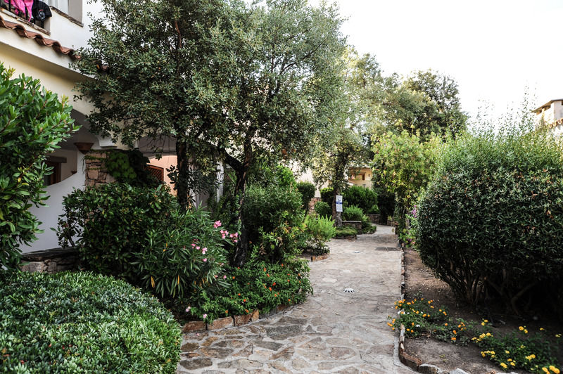 Elite Smeralda Room Porto Rotondo Εξωτερικό φωτογραφία